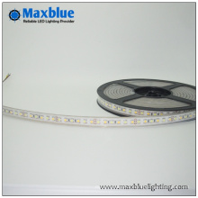 DC12V / 24V Ce Approuvé Flexible LED Soft Strip Light